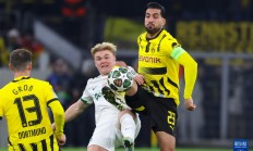 开云体育中国官网-多特蒙德队完胜对手，卫冕冠军风范的简单介绍