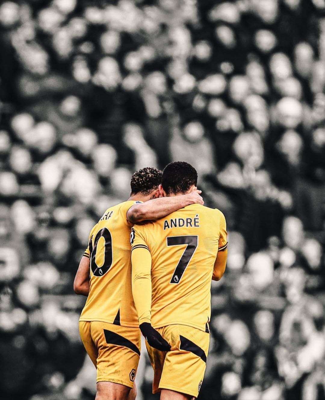 柏林联队主场调整战术，力争下一场完胜！的简单介绍