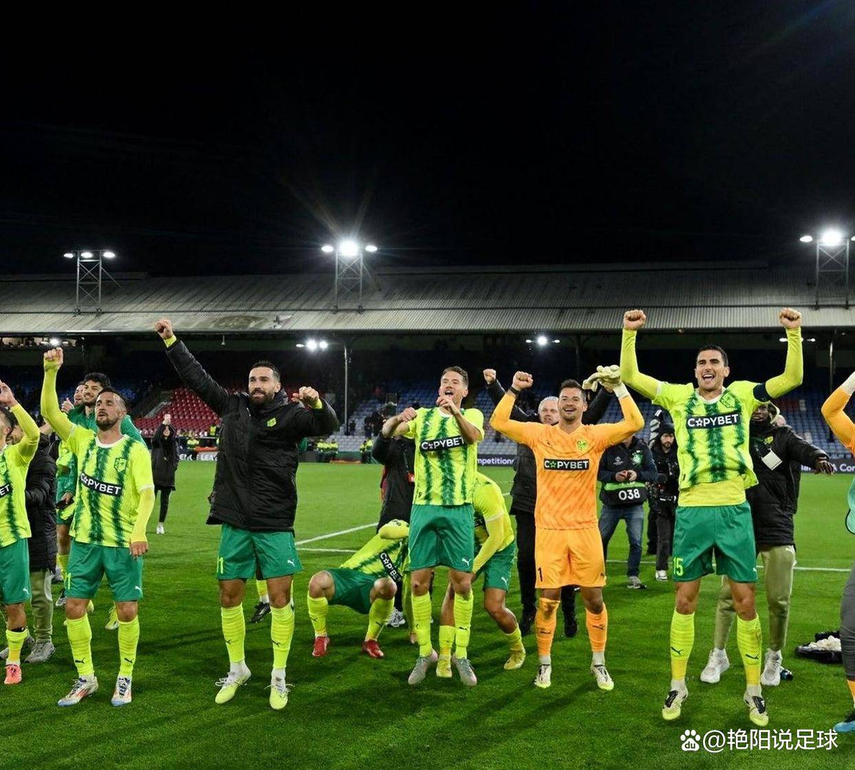 南安普敦主场战胜水晶宫，士气高涨的简单介绍