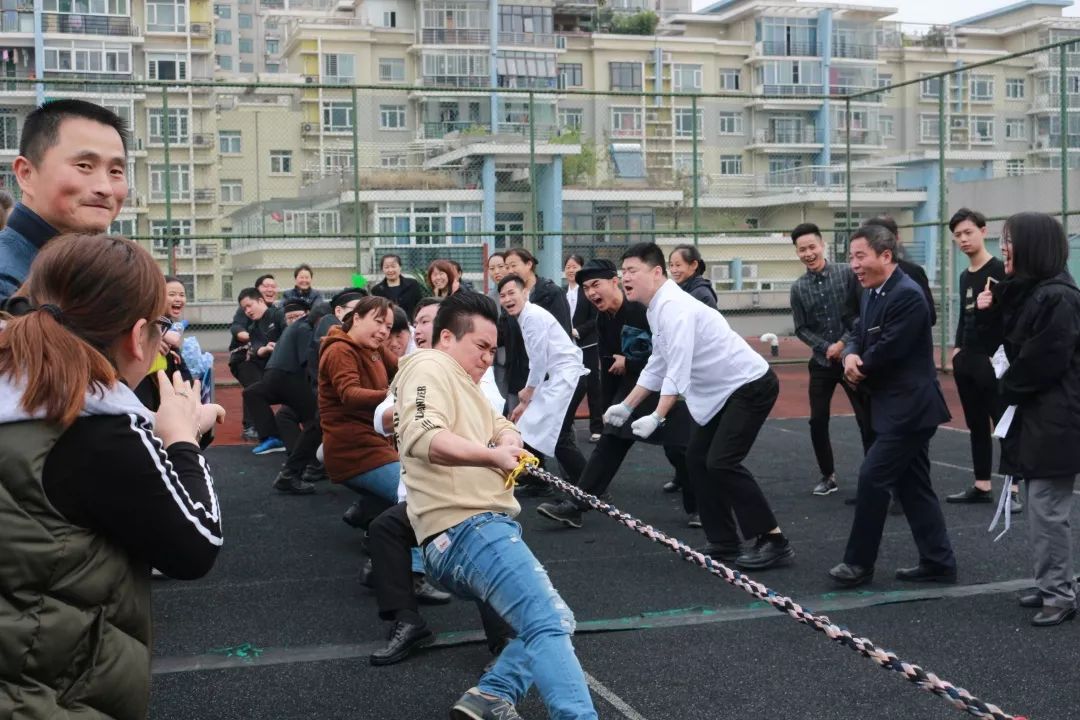 瑞士战队在比赛中展现出团结合作的简单介绍