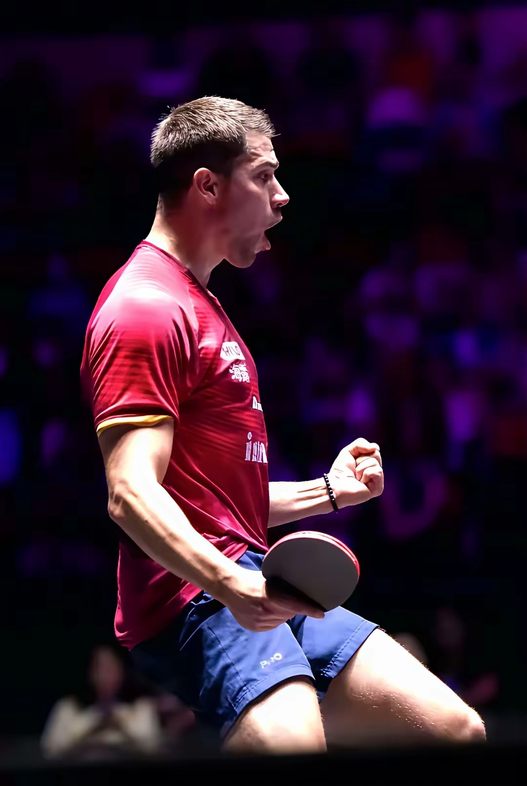 包含德国队轻取日本队，波尔惊艳四座的词条